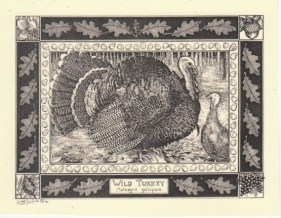 24-turkey-note-card