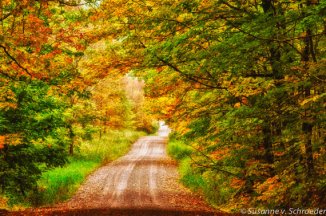 susanne-autumn-road